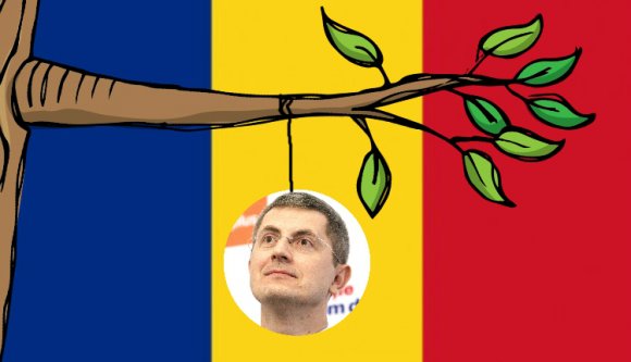 Barna úr felmászott a fára?