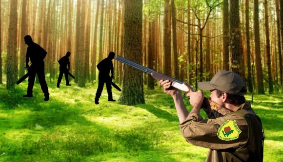Végre a törvényhozók is belátták, hogy fegyvert kell adni az erdészek kezébe