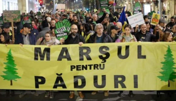 Romániában nem csak az erdők, hanem az erdészek is veszélyben vannak, ezért tüntettek is értük