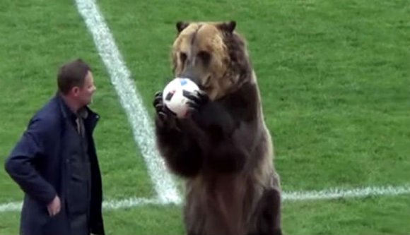 Mitől kell tartaniuk a francia futballszurkolónak Kolozsváron? Hát a medvéktől!