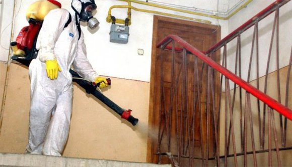 Felháborító: egy közönséges patkányirtás végzett három emberrel Temesváron