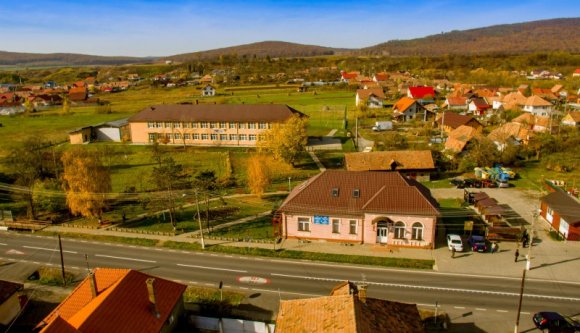 Ez a medve sem élte túl, hogy autóútra merészkedett