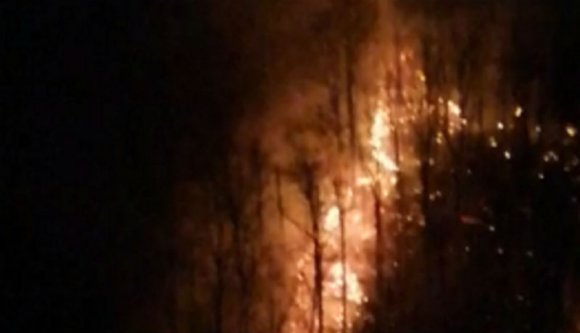 Kigyulladt egy autó, majd azzal a lendülettel az erdőt is lángba borította Brassó megyében (VIDEÓval)