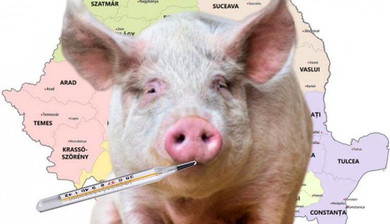 Hogy lesz így füstölt kolbász? Disznóvágás helyett disznóirtás lesz idén?