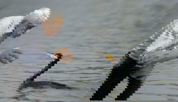 Teljesülhet Petre Daea álma: szorul a hurok a kárókatonák nyaka körül