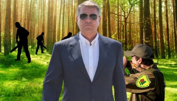 Iohannis felébredt: ebben az országban ugyanannyi fát vágnak ki törvénytelenül, mint törvényesen
