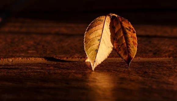 Átmeneti felmelegedés jön a napokban, de azért ne aludjon kint a teraszon!