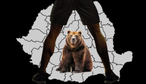 A nagy hazai párbaj: Homo sapiens versus Ursus arctos