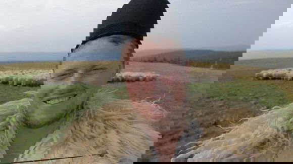 Azért exportálunk évente több millió élő állatot, mert nem vagyunk képesek őket becsületesen levágni