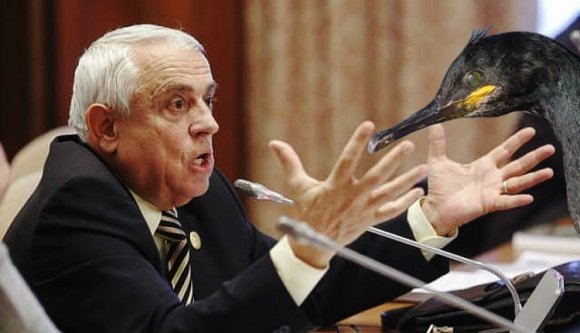 Addig pocskondiázták az állítólag kormorángyűlölő volt mezőgazdasági minisztert, amíg kiderült: igaza volt