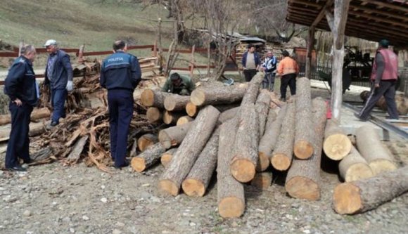 Önfeledten lopták a fát egy Brassó megyei falu mellett, erre nem rájuk rontottak a csendőrök?