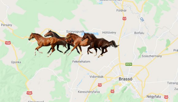 Négy ló bóklászott a síneken, amikor…