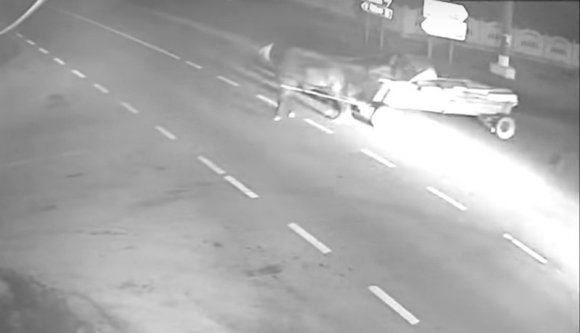 Mi történik, amikor egy erőből közlekedő BMW oldalba kap egy fával megrakott lovasszekeret? (VIDEÓval)