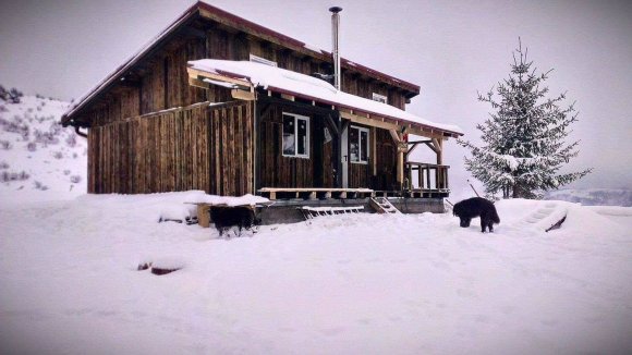 Van a hegyekben egy jól felszerelt menedékház? Csapassunk egy bulikát, és zúzzuk szét a helyet!