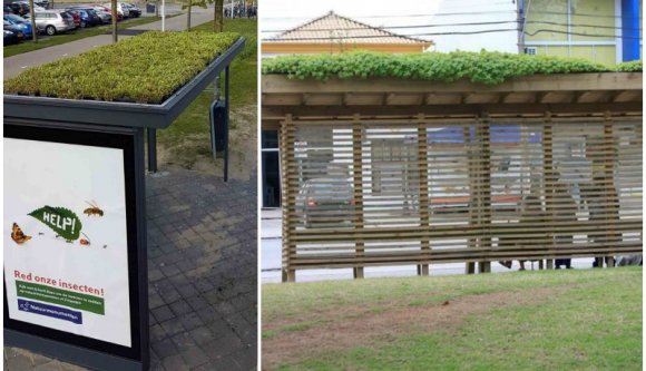 Zöld oázisokká változtatnák a buszmegállókat Kolozsváron, csak nehogy ugar legyen a végeredmény