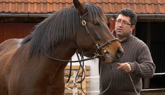 Kanadából költözött haza Háromszékre, lovasíjász lett belőle – Simon Lajos világa (VIDEÓ)