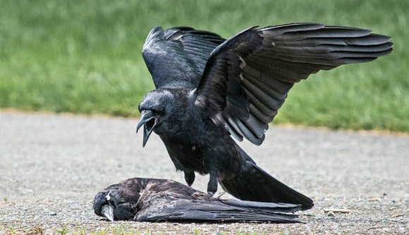 Inkább fejjel megyünk a falnak, de nem osztozunk a hatalmon