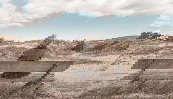 Durci: 2070-re több nyugdíjas lesz az országban, mint ahány melós, és ez nem lesz jó sem a nyugdíjasoknak, sem a melósoknak