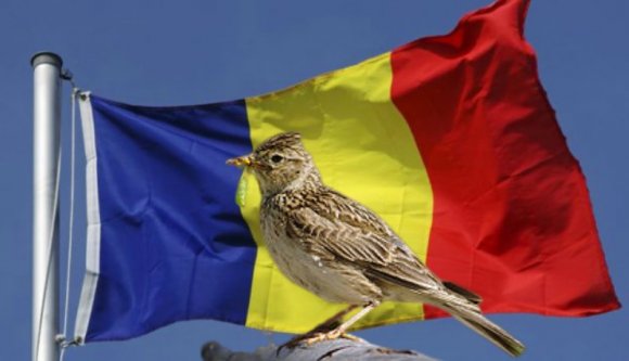 Úgysem esztek többé romániai madarakból készült pacsirtanyelv-pástétomot, kedves olaszok!