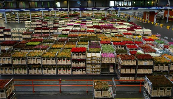 Uraim, tudják mennyi pénzt verünk el nők napja környékén a bűntudat hamis virágaira?