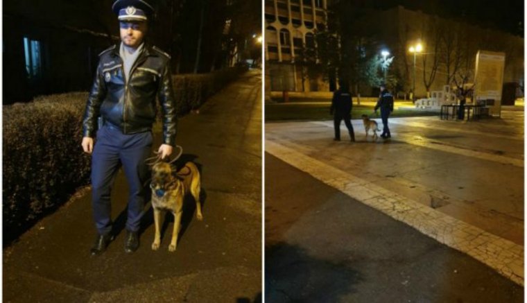 Négylábúakkal próbálja ellensúlyozni a kritikus rendőrhiányt Szilágy megye