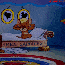 Több tízezer eurót hozott egy erdélyi család konyhájára a dübörgő autópálya-építés