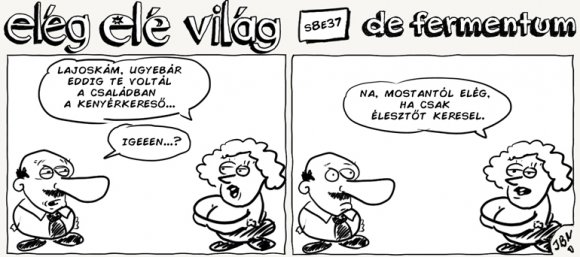 Elég elé világ – 8. évad, 37. epizód
