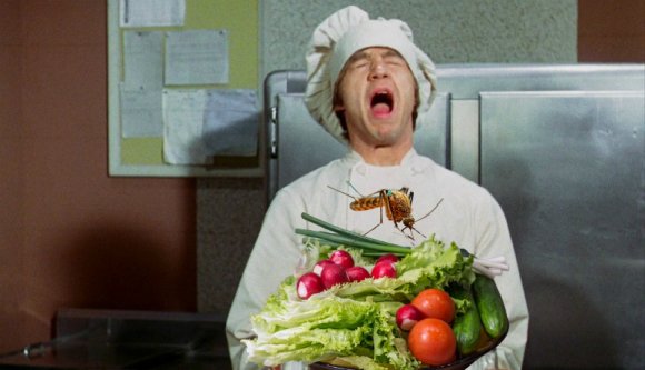 Szúnyogcsípéssel nem terjed a vírus, de mi van akkor, ha a szakács rátüsszent a salátánkra?