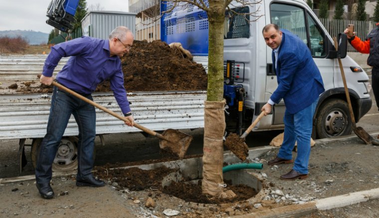 Ezt a tiszta járdát jól elfásítottátok, Boc mester! (FOTÓK)