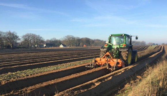 Jobban félnek a szegénységtől, mint a koronavírustól, ezért mennek tömegesen Németországba a romániai spárgaszedők