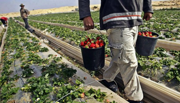 És akkor kezdődhet a románok újabb migrációja: ezúttal vissza Nyugat-Európába