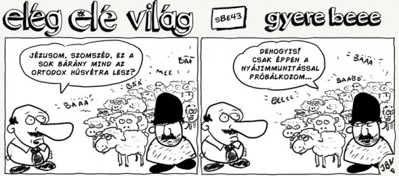 Elég elé világ – 8. évad, 43. epizód