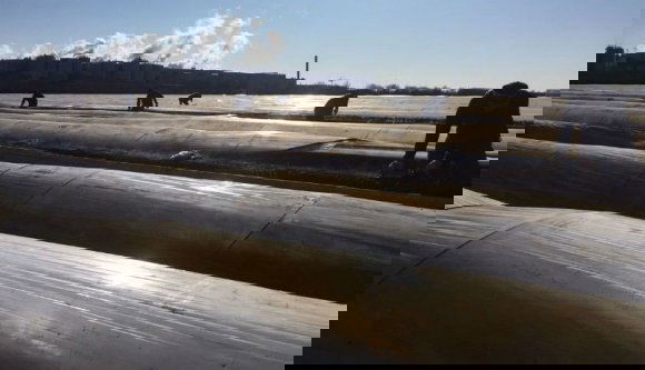 Se pénz, se étel, se iratok: kiszolgáltatott helyzetbe kerültek a romániai spárgaszedők egy német farmon