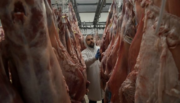 Megtiltják a külsősök foglalkoztatását a német vágóhidakon – több ezer román munkás helyzete lett bizonytalan