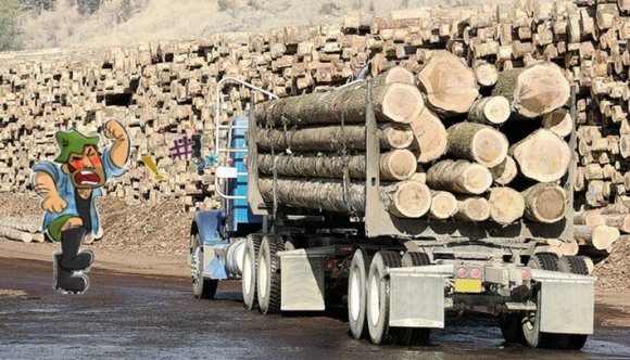 Utcára vonuló dühös falusiak tartóztatták fel a lopott fát szállító teherautót (VIDEÓval)
