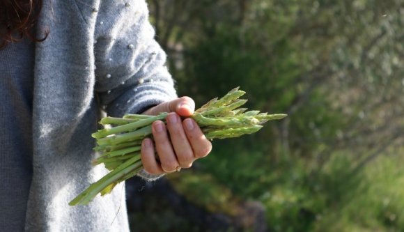Míg külföldön egymás elől happolják el a gazdák a román idénymunkásokat, itthon a jogsérelmeik miatt aggódnak