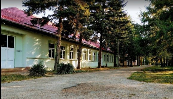 Két fertőzési gócpont is megjelent Temes megyében