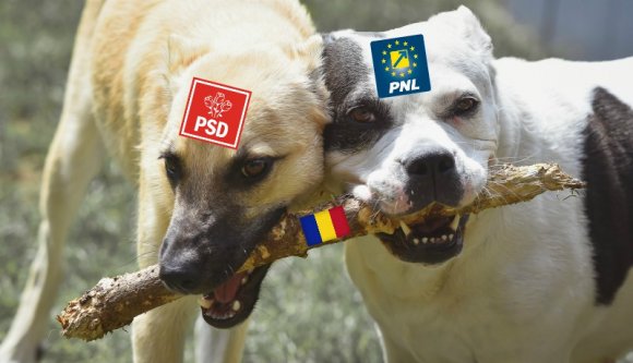 Az RMDSZ-en kívül egy párt sem villantott nagyot a legfrissebb népszerűségi felmérés szerint