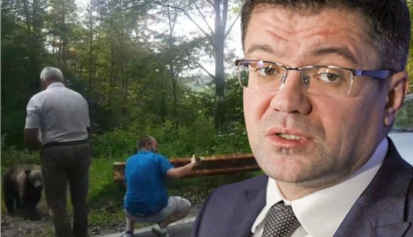 Fontos információval gazdagodtunk: a medve vadállat, és nem házi kedvenc – mondta ki a miniszter