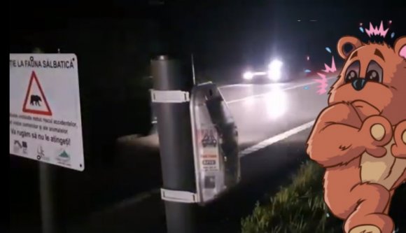 Medveriogató virtuális kerítéssel tartanák távol a nagyvadakat a forgalmas utaktól (VIDEÓval)