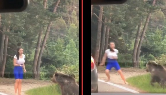 Nézzen észkombájn turistát, aki az életét kockáztatja egy medvés fotóért (VIDEÓval)
