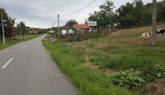 Ez is jól kezdődik: egy Temes megyei községben nincs egyetlen koronavírusos sem, mégis vörös zónába vágták