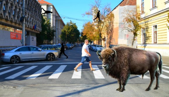Vajon tényleg minden magyarnak is jár Kolozsvár?
