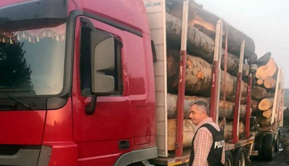 Épp hogy újraválasztották polgármesternek, tetten érték, amint egy kamionnyi lopott fát szállított