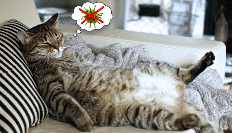 Vasárnap nincs vírus. Vasárnap nem dolgozunk!