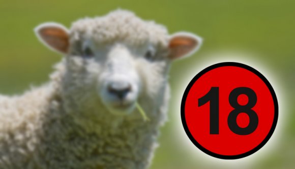 Nem Brüsszel, Călăraşi: birkával szexelt egy férfi, öten nézték