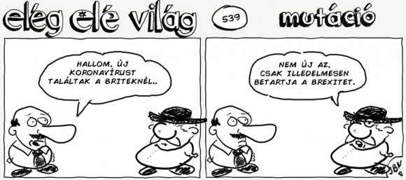 Elég elé világ – 539.