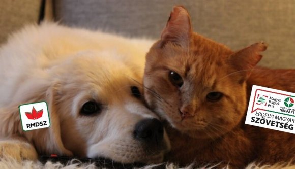 Mire lesz elég a nagy magyar összefogás a vasárnapi választásokon? (SZAVAZÓGÉP)