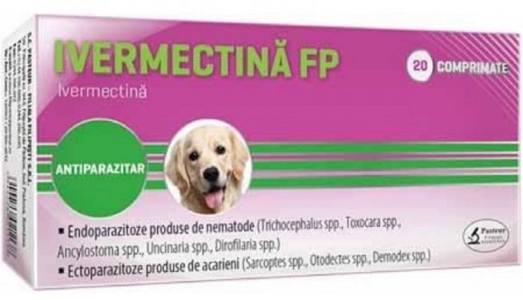 Senki ne kísérletezzen magán kutyáknak szánt féreghajtóval, ha elkapta a koronavírust!