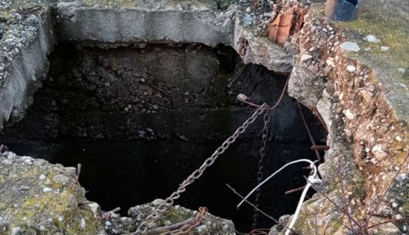 Kutyákat öltek kegyetlen módon, őrizetbe vette őket a rendőrség